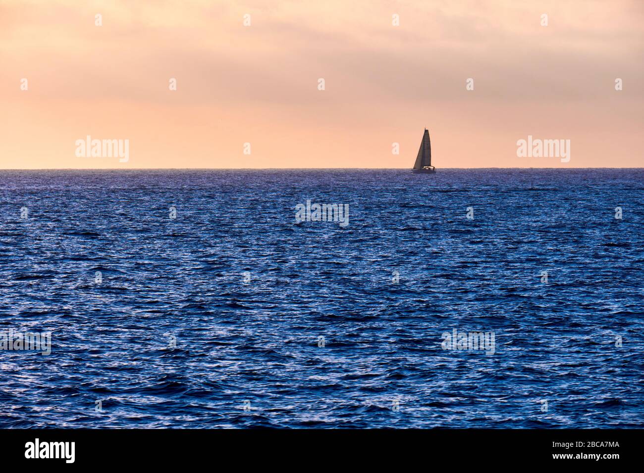 Etats-Unis, Etats-Unis d'Amérique, Californie, Newport Beach, Coast, Dolphin, Océan Pacifique, voilier Banque D'Images