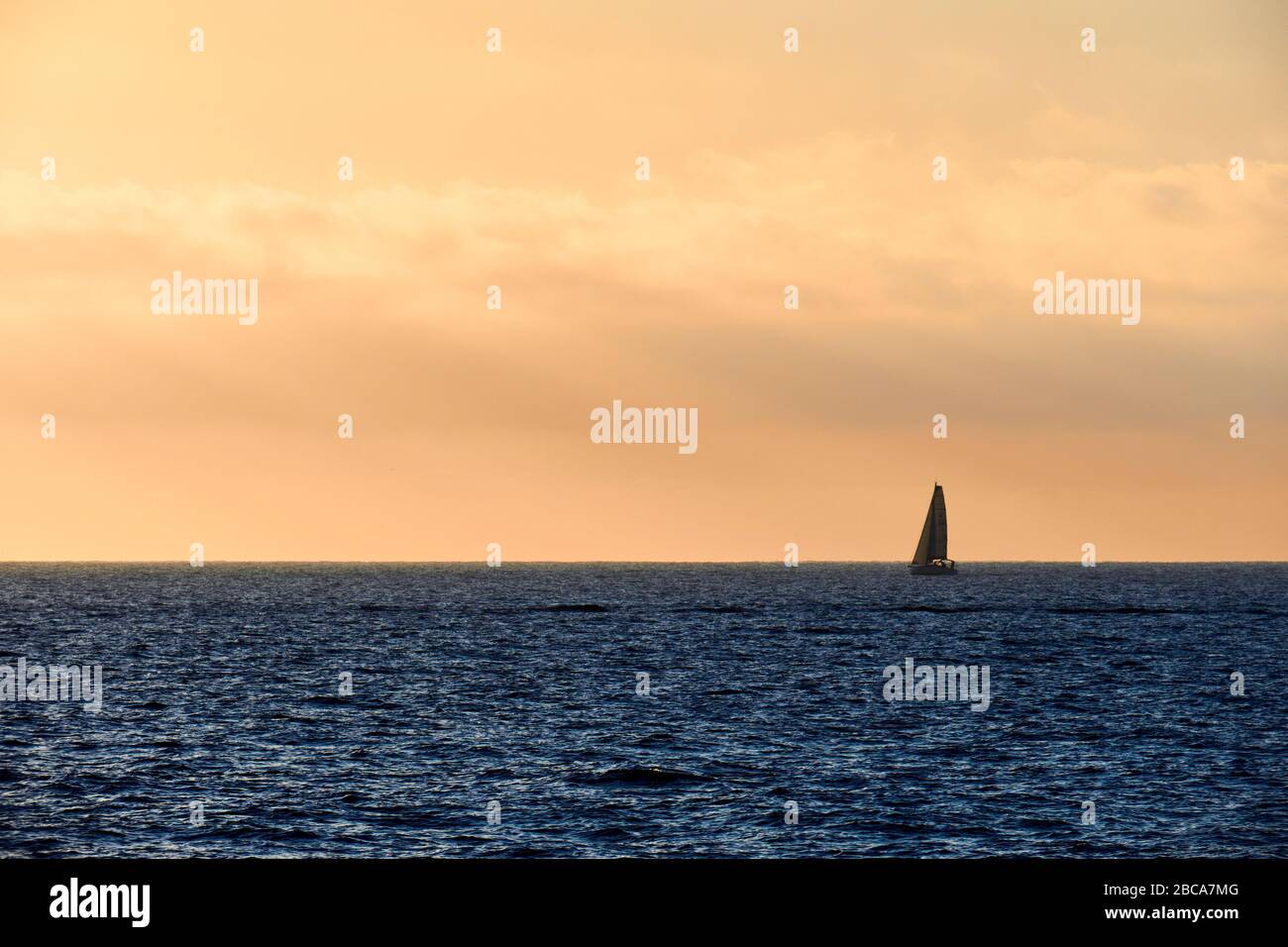Etats-Unis, Etats-Unis d'Amérique, Californie, Newport Beach, Coast, Dolphin, Océan Pacifique, voilier Banque D'Images