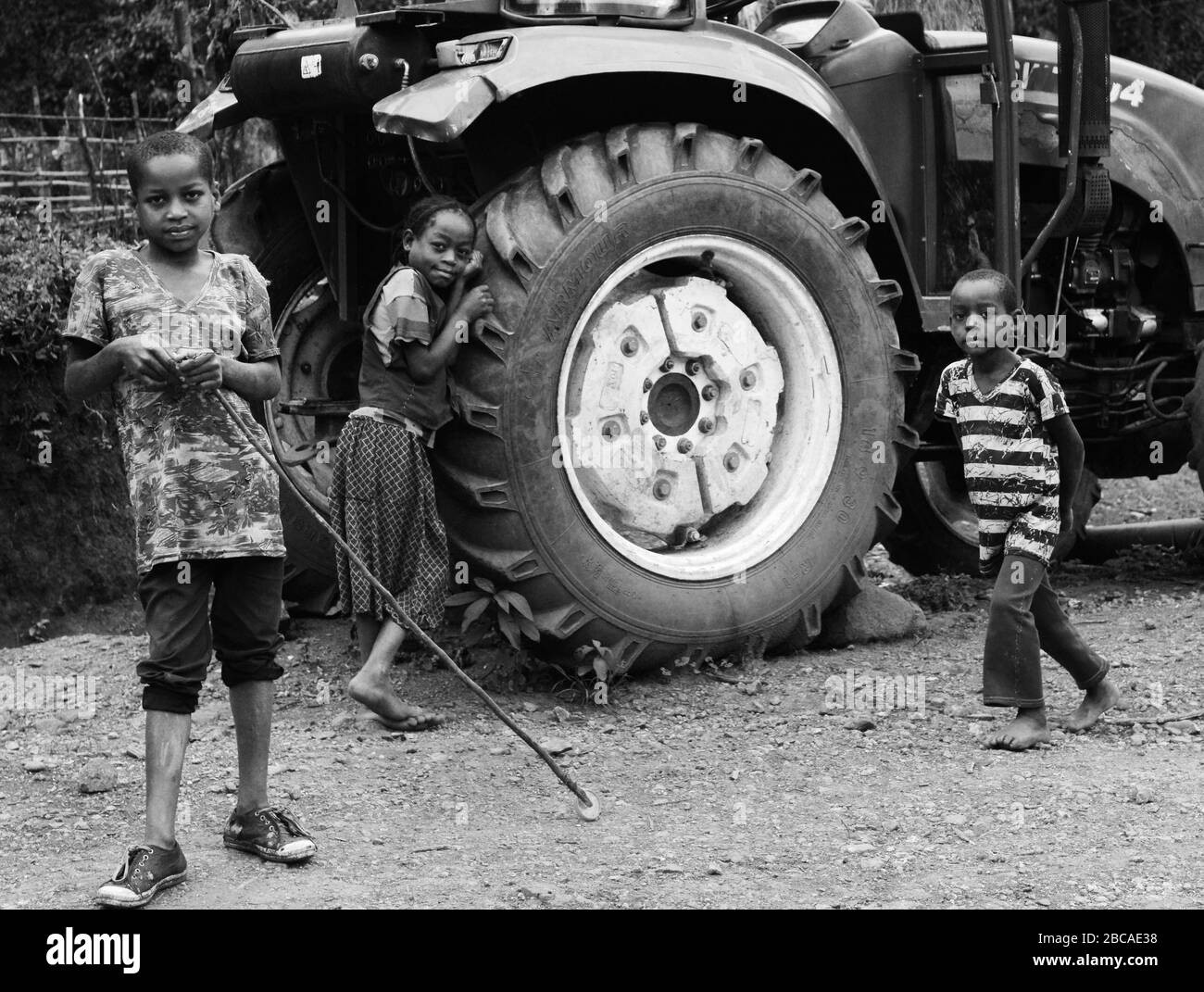 Enfants éthiopiens près de la forêt de café sauvage de Mankira. Banque D'Images