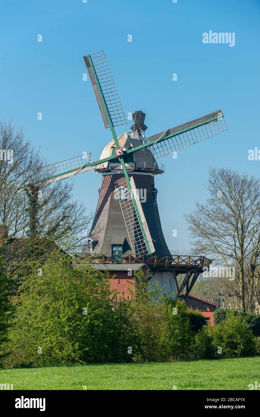 Allemagne, Basse-Saxe, Frise orientale, Emden, Larrelt, le Larrelter Mühle (gagnant de Kost) un moulin à vent néerlandais de deux étages. Banque D'Images