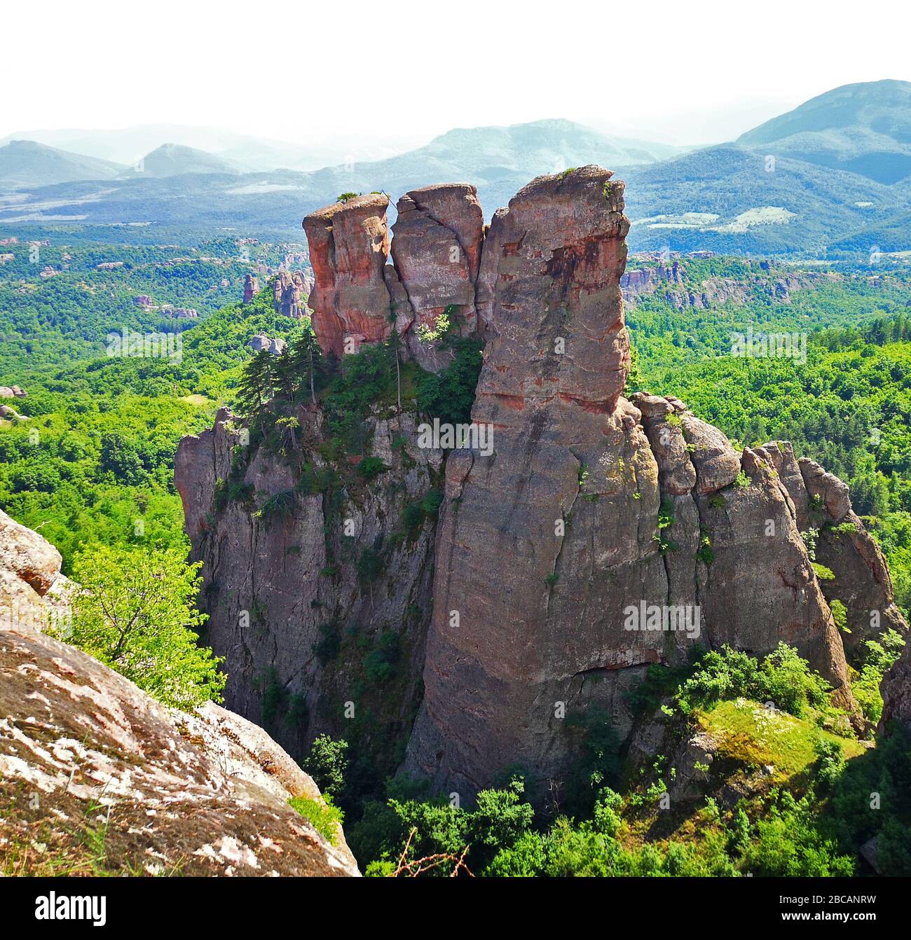 De grandes formations rocheuses qui s'épient de la forêt aux rochers de Belogradchick, en Bulgarie, un paysage bulgare incroyable dans le parc naturel autour de Kaleto, A. Banque D'Images