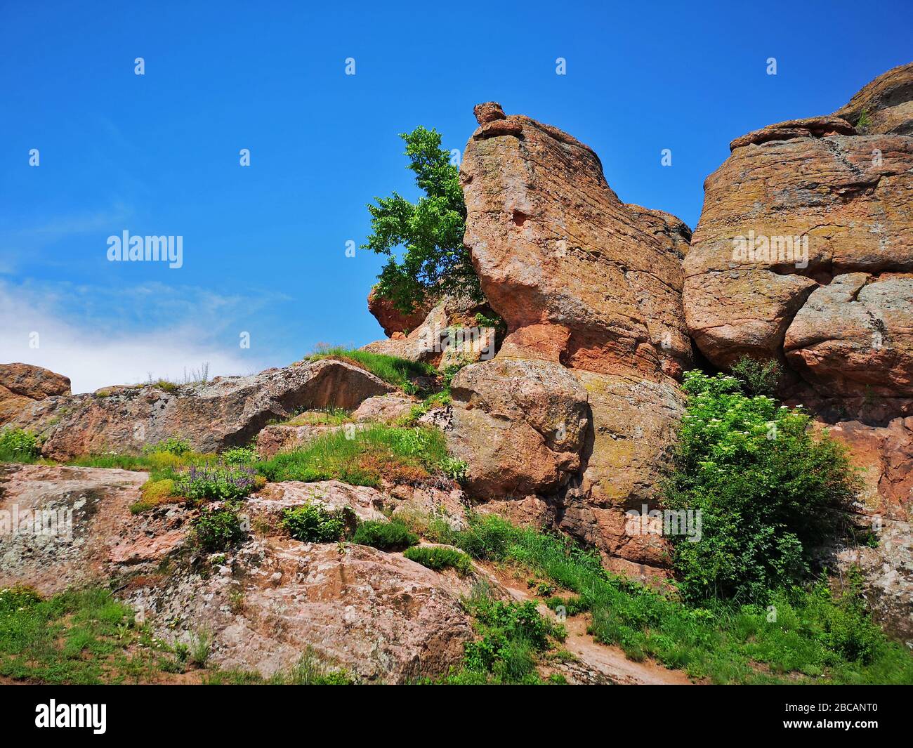 Végétation luxuriante parmi les formations rocheuses rouges au Belogradchick Rocks, en Bulgarie, une destination européenne de voyage étonnante avec de beaux paysages Banque D'Images