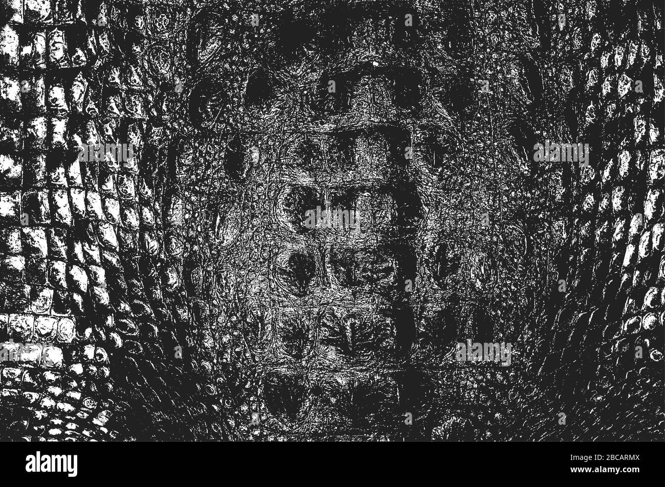 Peau de serpent de détresse texture grunge. Arrière-plan noir et blanc... Illustration de Vecteur