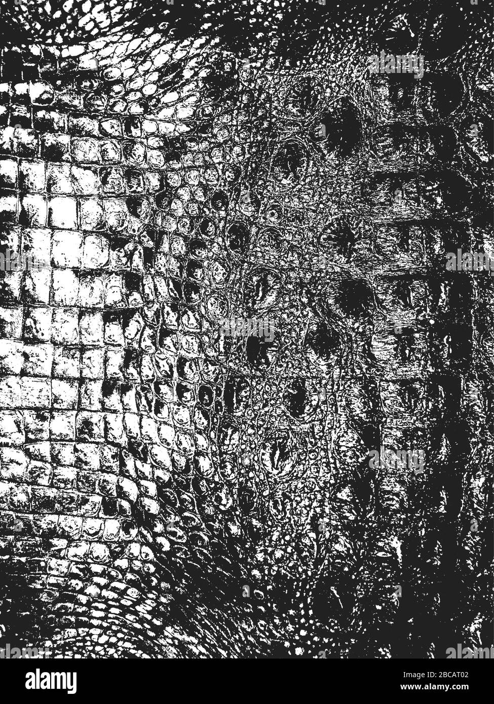 Peau de serpent de détresse texture grunge. Arrière-plan noir et blanc... Illustration de Vecteur