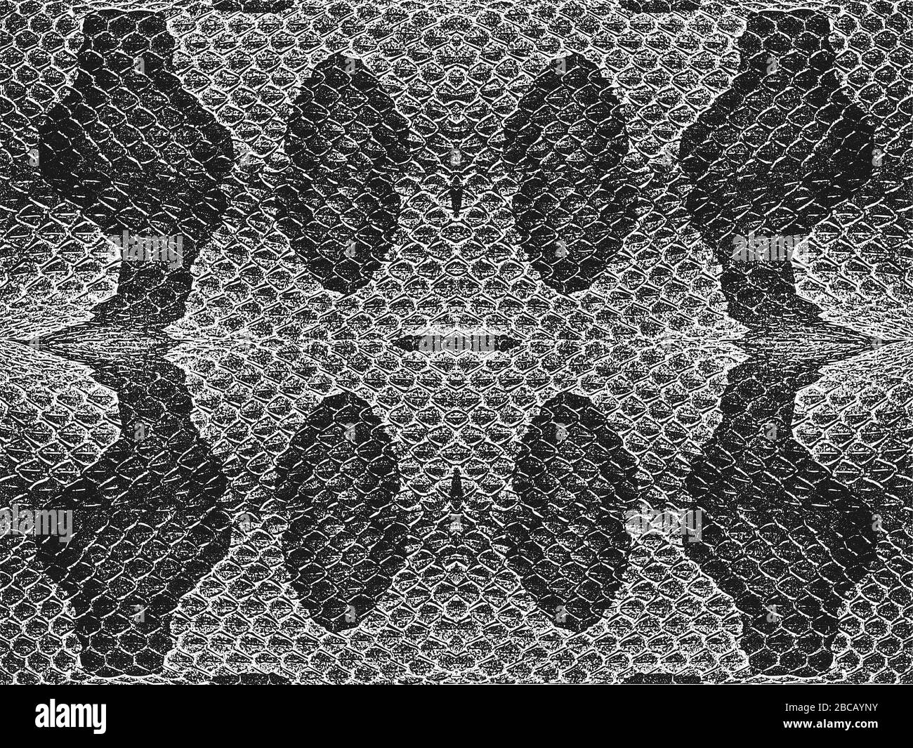 Peau de serpent de détresse texture grunge. Arrière-plan noir et blanc... Illustration de Vecteur