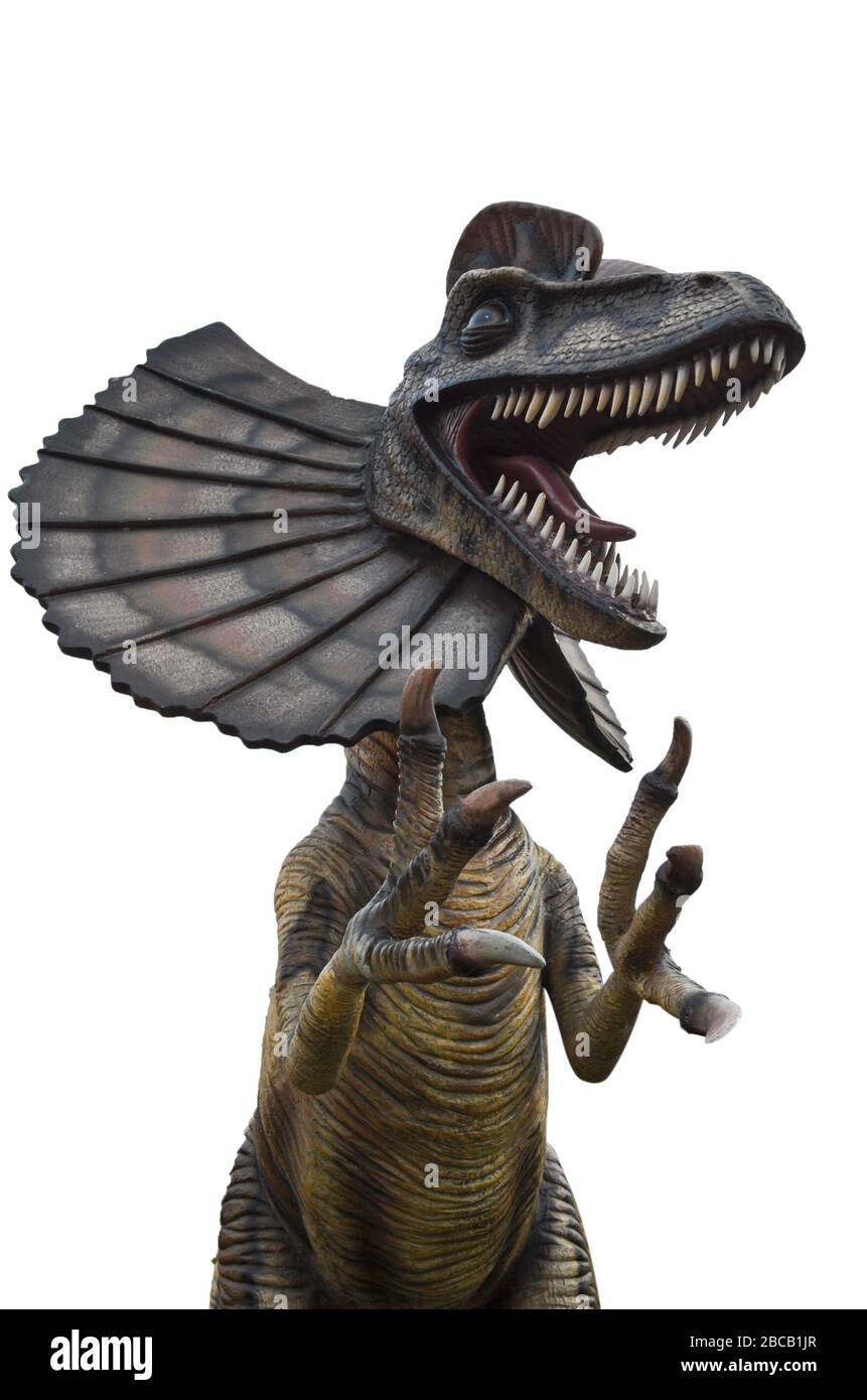Dilophosaure mortel et affamé avec crête ouverte isolée sur fond blanc. Le Dilophosaur est un dinosaure carnivore vécu au trias Banque D'Images