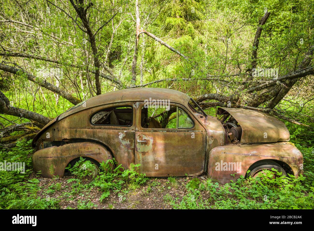 Suède, Varmland, Bastnas, parking public du cimetière automobile de Bastnas, jardin d'objets anciens Banque D'Images