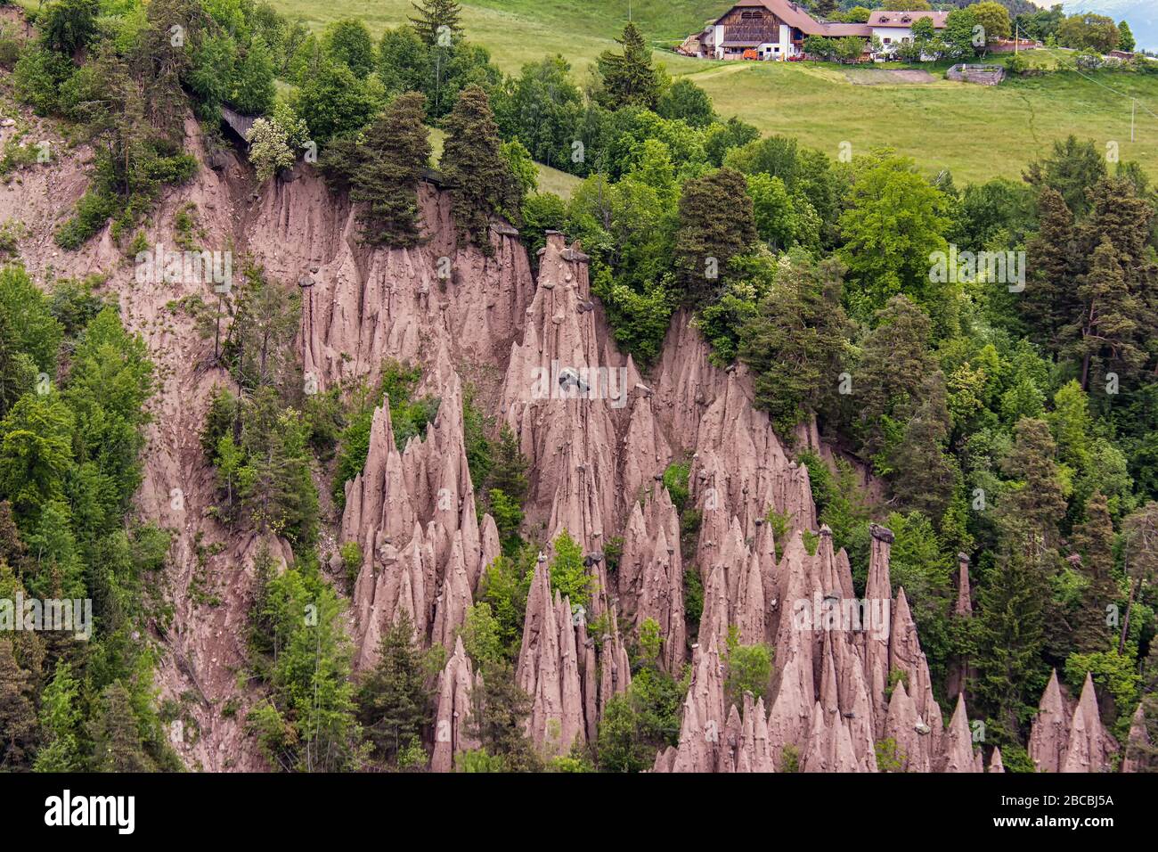 Vue sur les pyramides de la Terre, Piramidi di di Terra à Ritten, Alpes de Bolzano, Longomoso, Tyrol du Sud, Italie Banque D'Images