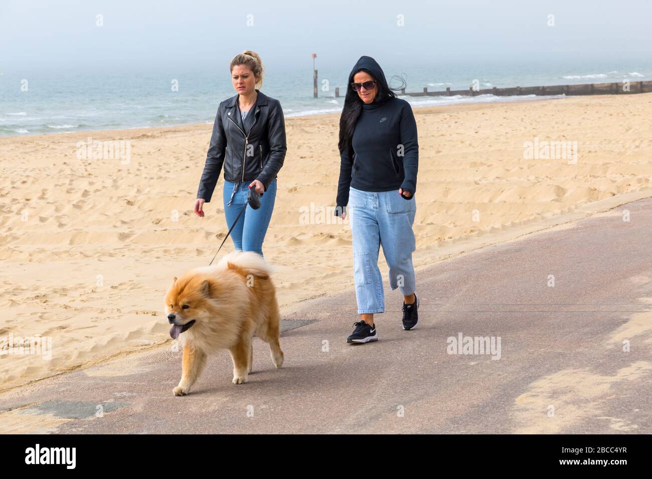 Bournemouth, Dorset Royaume-Uni. 4 avril 2020. Les plages de Bournemouth sont principalement vides à part ceux qui visitent la mer pour faire leur exercice autorisé, comme les visiteurs ont conseillé de rester à la maison et de respecter les restrictions de Coronavirus pour les distanciation sociale, avec des parkings fermés pour dissuader les visiteurs de conduire à l'afar. Les femmes marchaient le chien le long de la promenade. Crédit: Carolyn Jenkins/Alay Live News Banque D'Images
