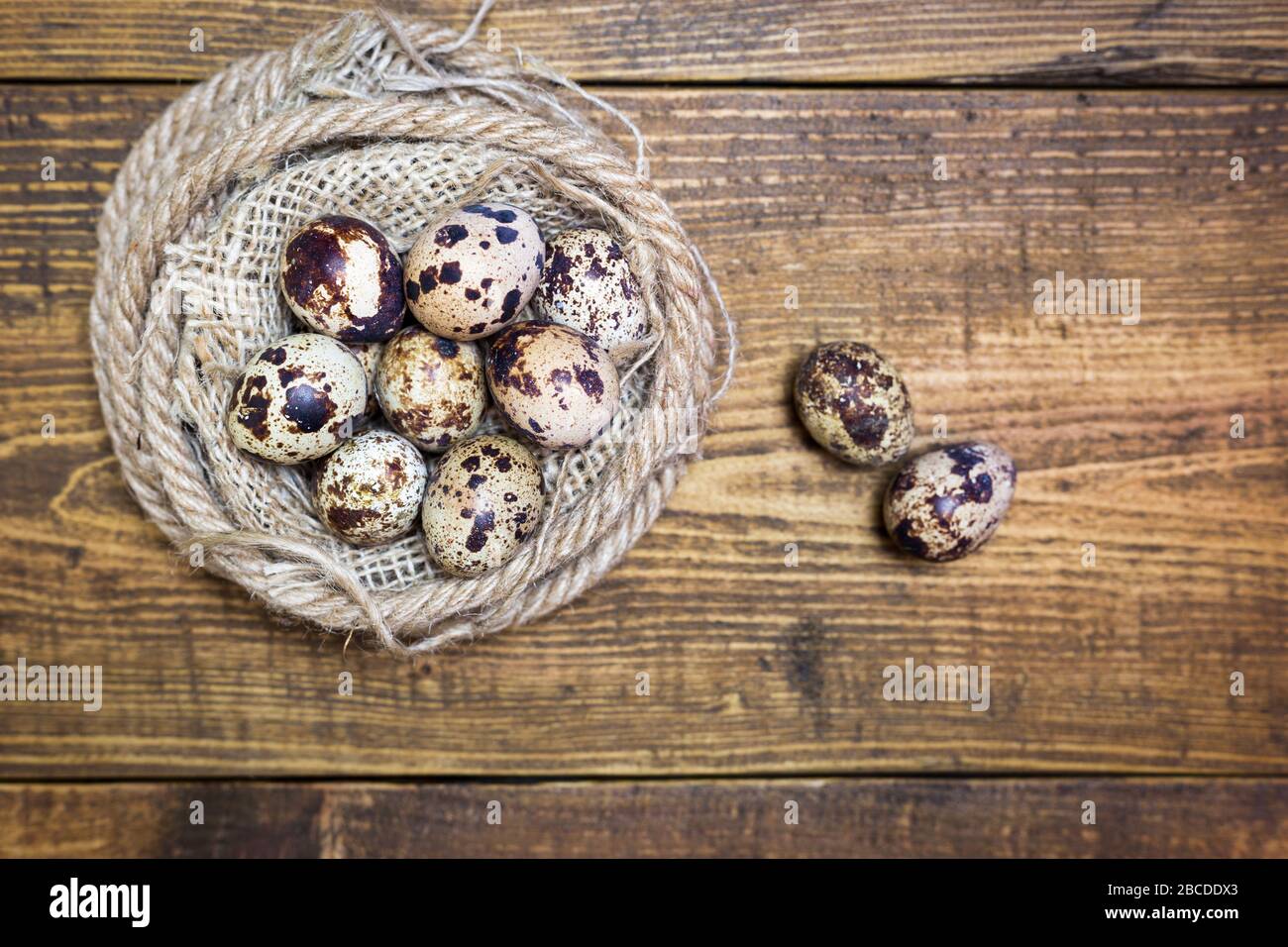 Les œufs de caille de Pâques nichent sur un fond rustique en bois. Vue de dessus avec espace de copie. Banque D'Images