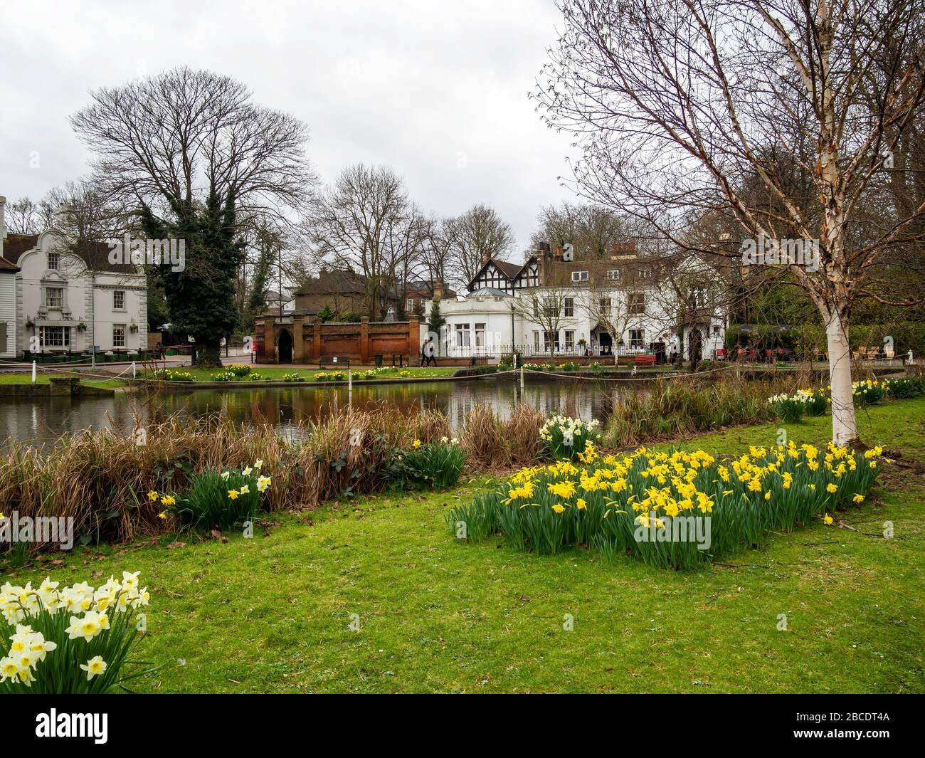CARSHALTON, ANGLETERRE - 15 MARS 2020: Étangs de Carshalton au soleil de printemps. Musée de la Lune de miel avec jonquilles. Village historique. Banque D'Images