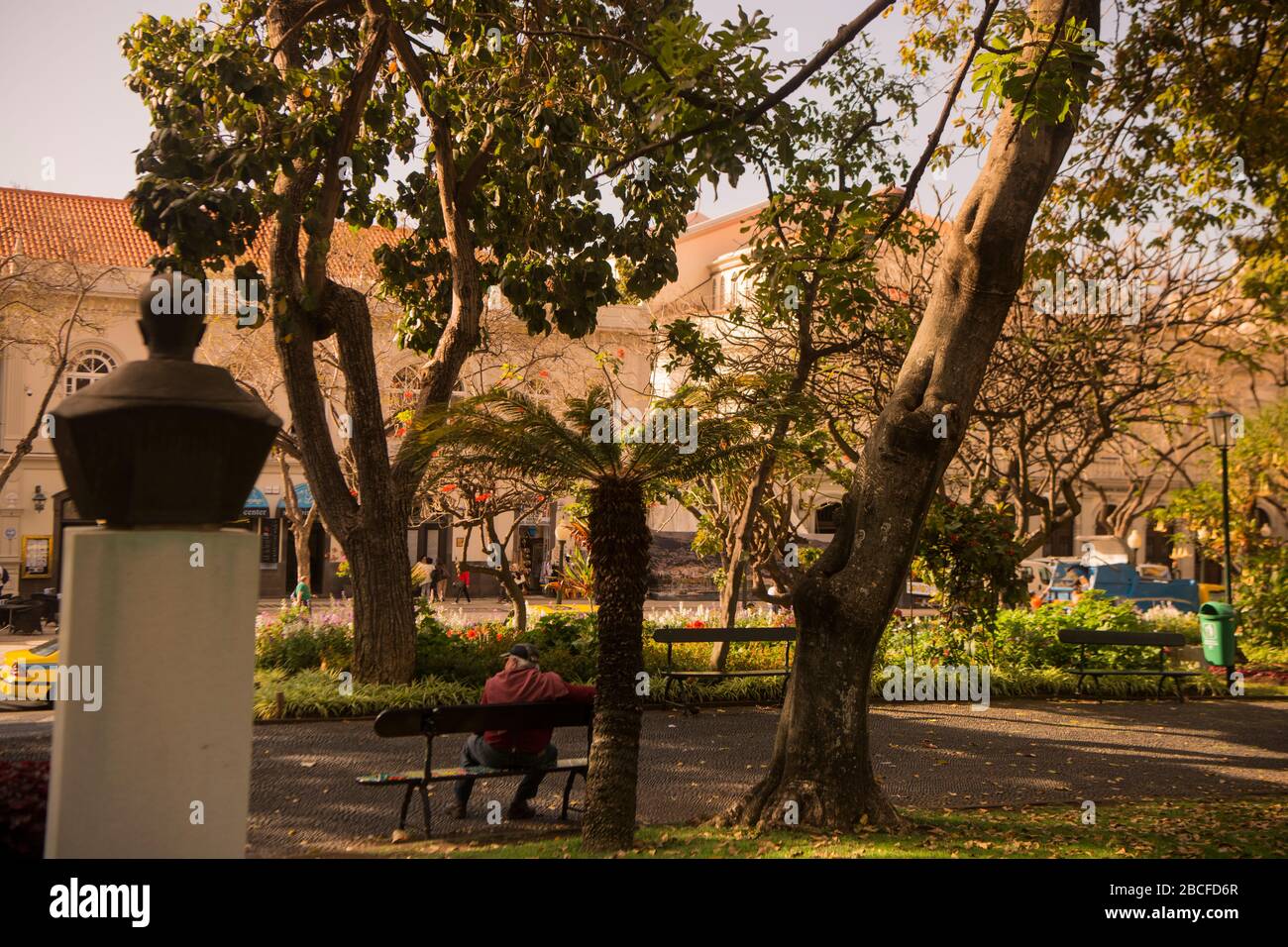 La municipalité de Jardim à l'avenida Arriaga dans le centre ville de Funchal sur l'île de Madère du Portugal. Portugal, Madère, avril 2018 Banque D'Images