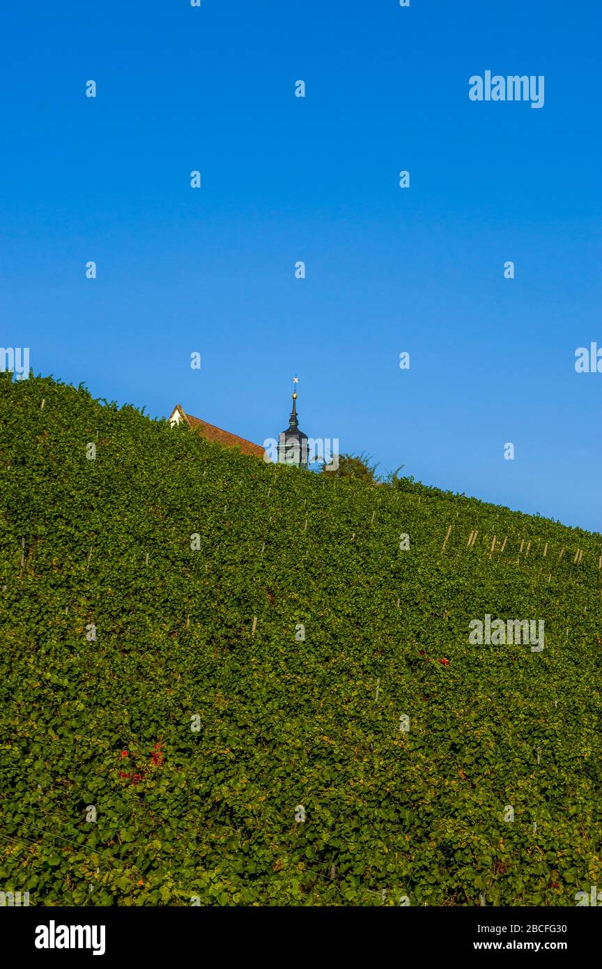 Vignoble, église de pèlerinage Maria dans le vignoble et ciel bleu au soleil près de la ville de Volkach Banque D'Images