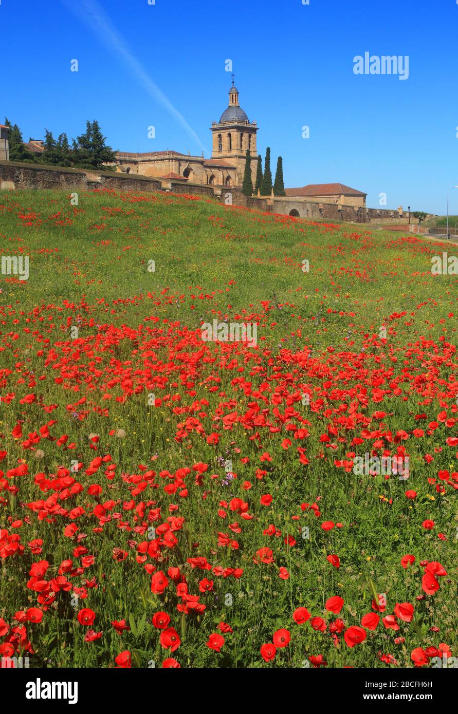 Ciudad Rodrigo, Salamanca District, Estrémadure, Espagne. La cathédrale de style baroque et romantique. Vue de l'extérieur des murs de la ville. Banque D'Images