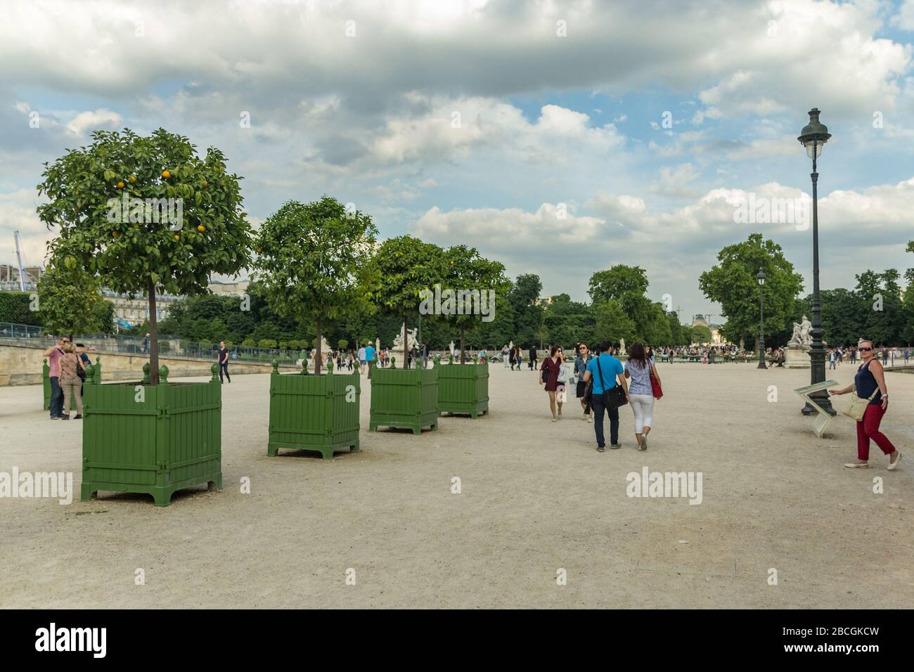 Paris, France - 24 juin 2016 : le jardin des Tuileries - jardin des Tuileries, est un jardin public situé entre le Louvre et la place de la Concorde Banque D'Images