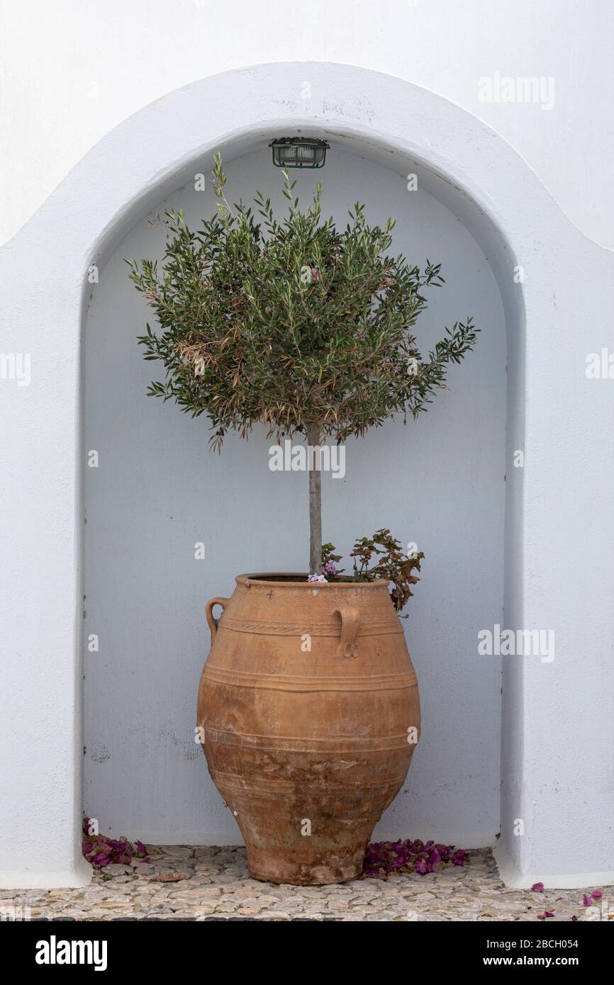 Pot en faïence dans une alcôve dans une cour à Vothonas, Santorin, Grèce Banque D'Images