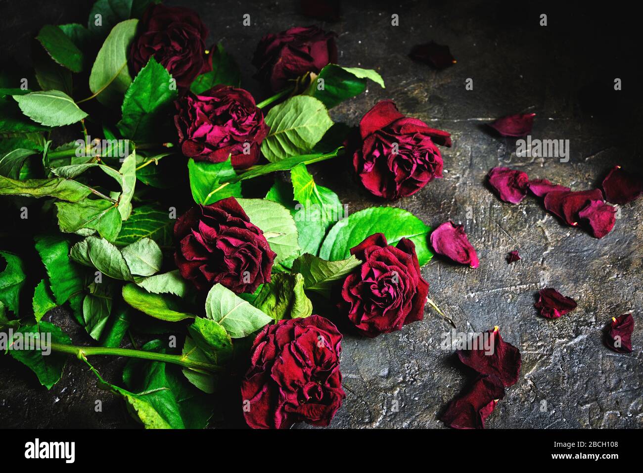 Bouquet de roses rouges délavées avec pétales morts sur le sol Photo Stock  - Alamy