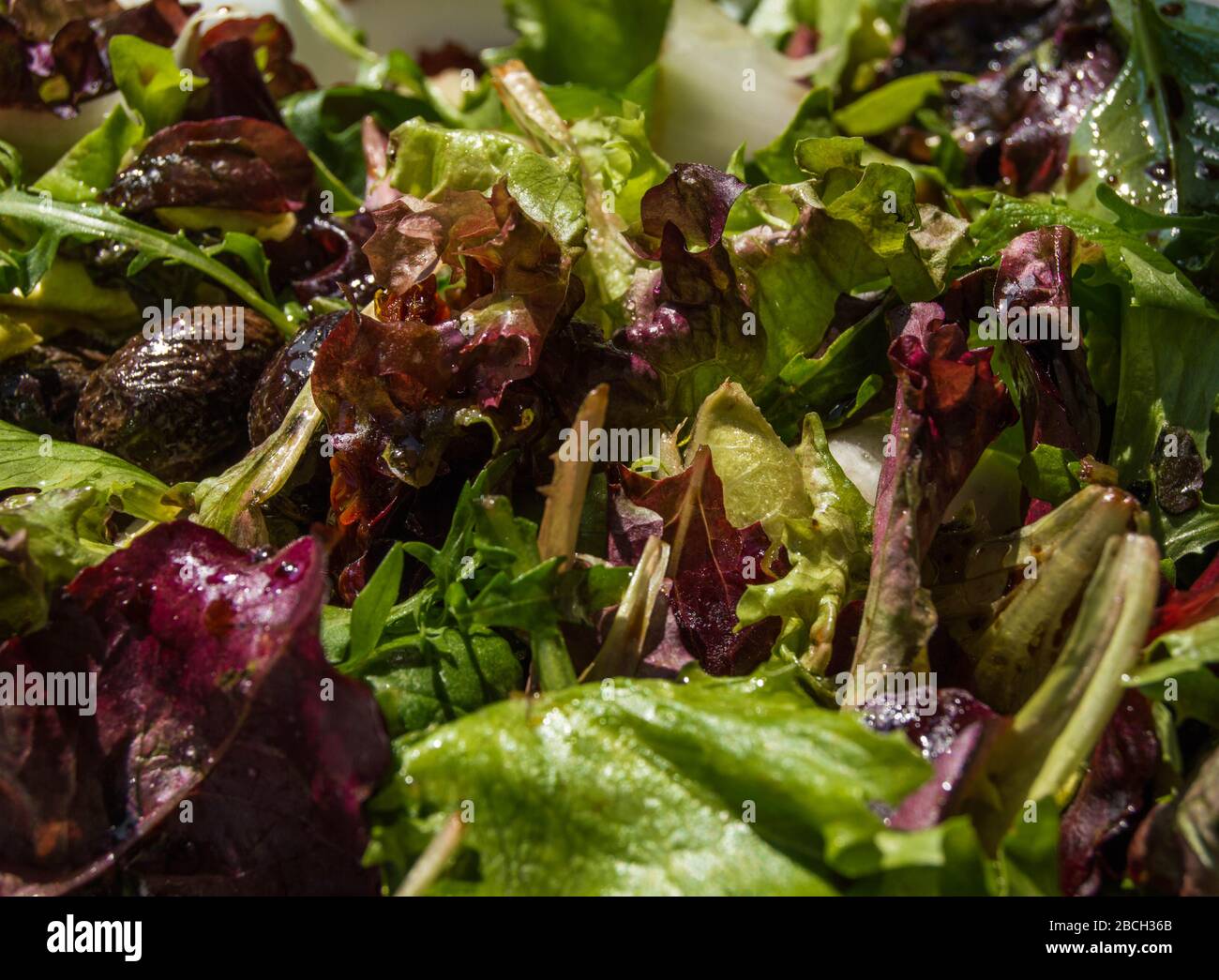 Plats végétariens : salade végétarienne faite de laitue, de roquette et de feuilles d'épinards assaisonnée d'huile d'olive et de vinaigre balsamique. Banque D'Images