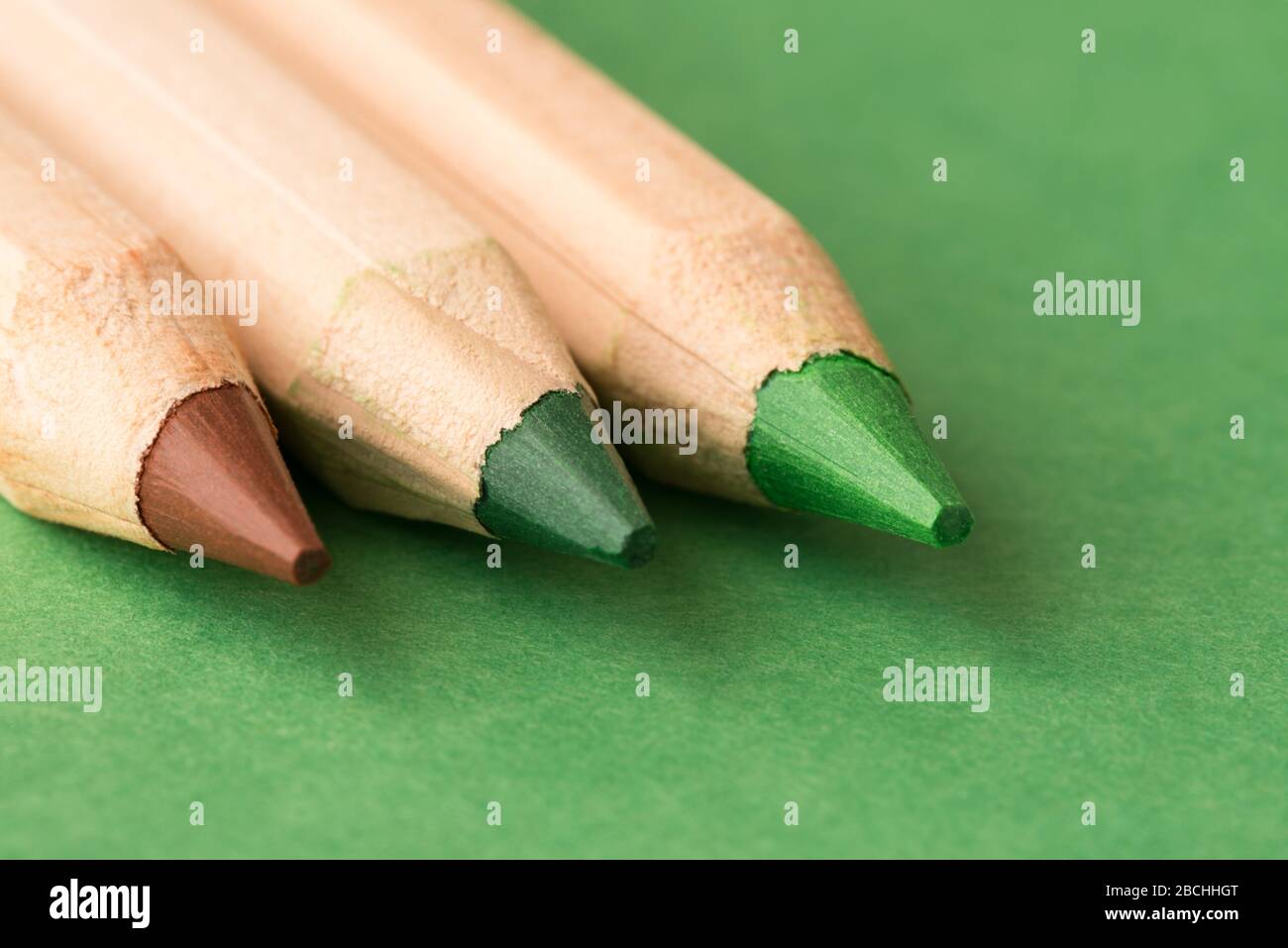 Crayons de couleur marron et verte Banque D'Images