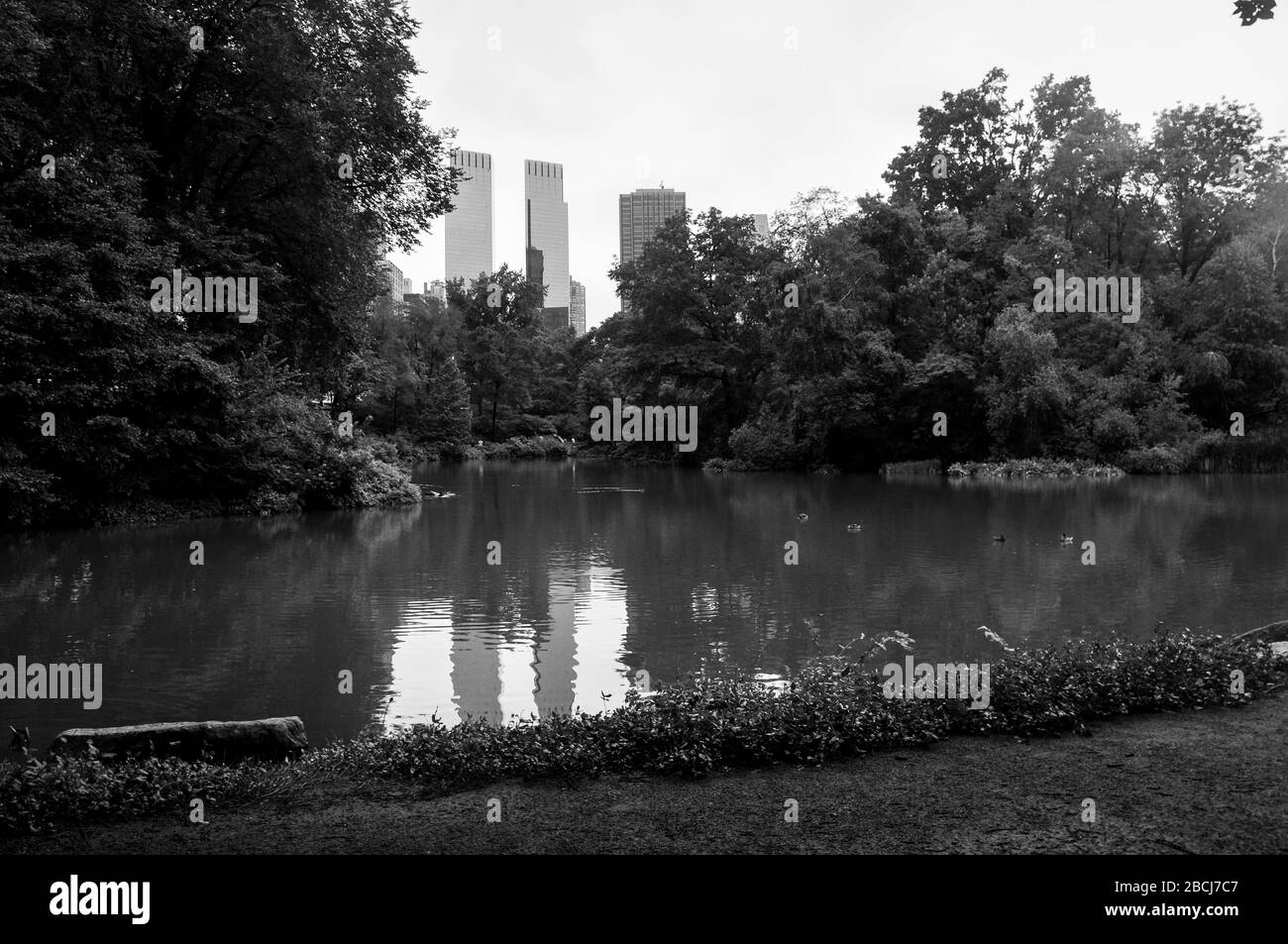 Concorde new york Banque d'images noir et blanc - Alamy