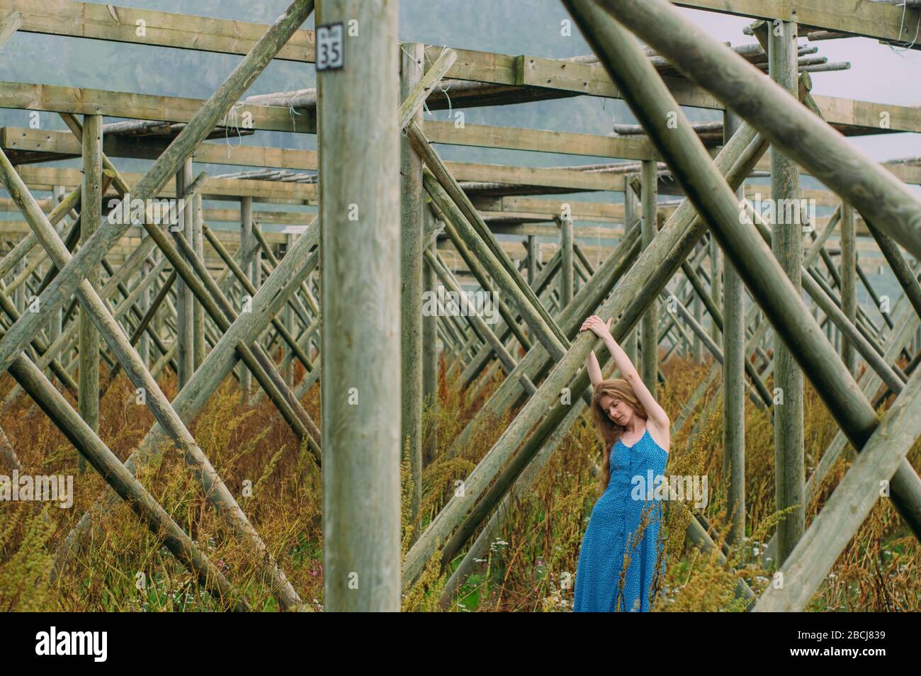 Jeune femme en robe bleue tenant le tronc d'arbre, séchoirs de poisson norvégiens sur les îles Lofoten en Norvège Banque D'Images