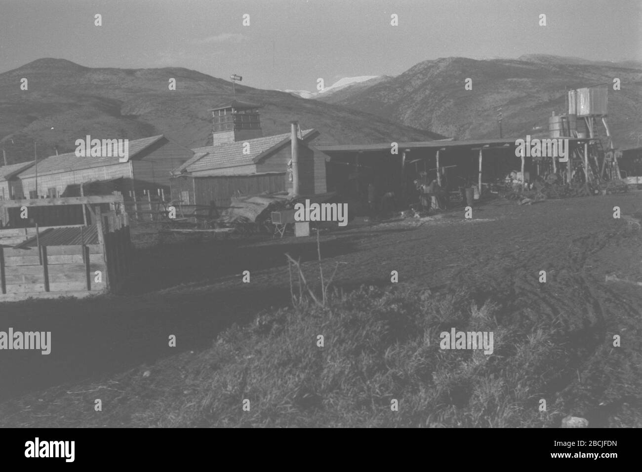 Kibbutz Dan Banque D Image Et Photos Alamy