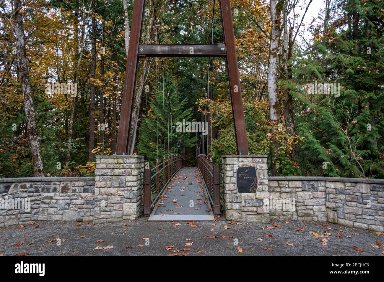 BELLEVUE, WA/USA – 5 NOVEMBRE 2019 : jardin botanique de Bellevue, entrée au pont de suspension Ravine Experience avec feuillage d'automne. Banque D'Images