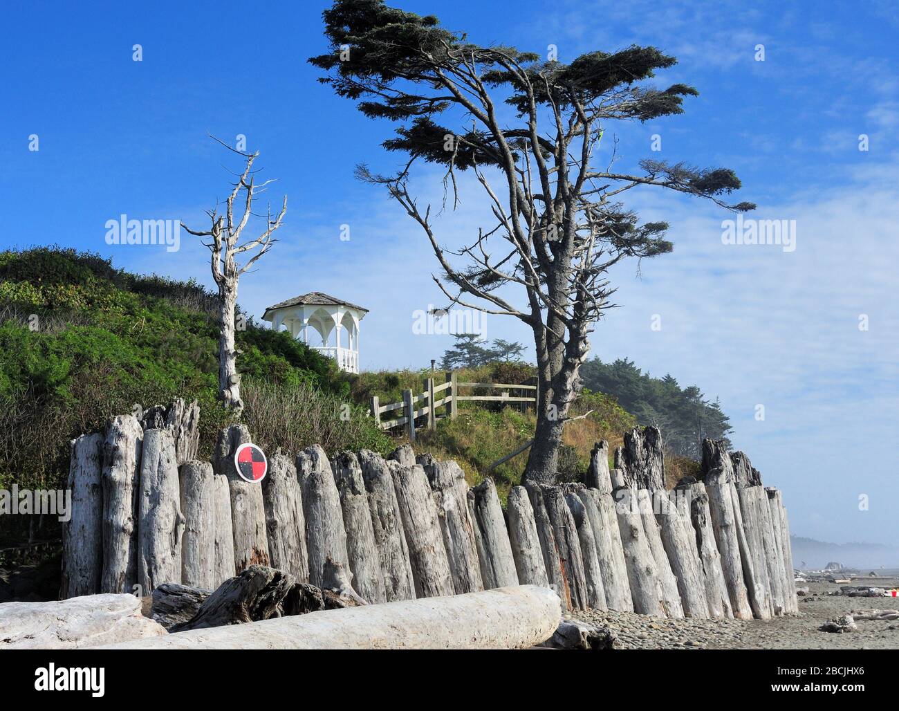 Plage de Kalaloch au Parc National Olympique Washington Banque D'Images