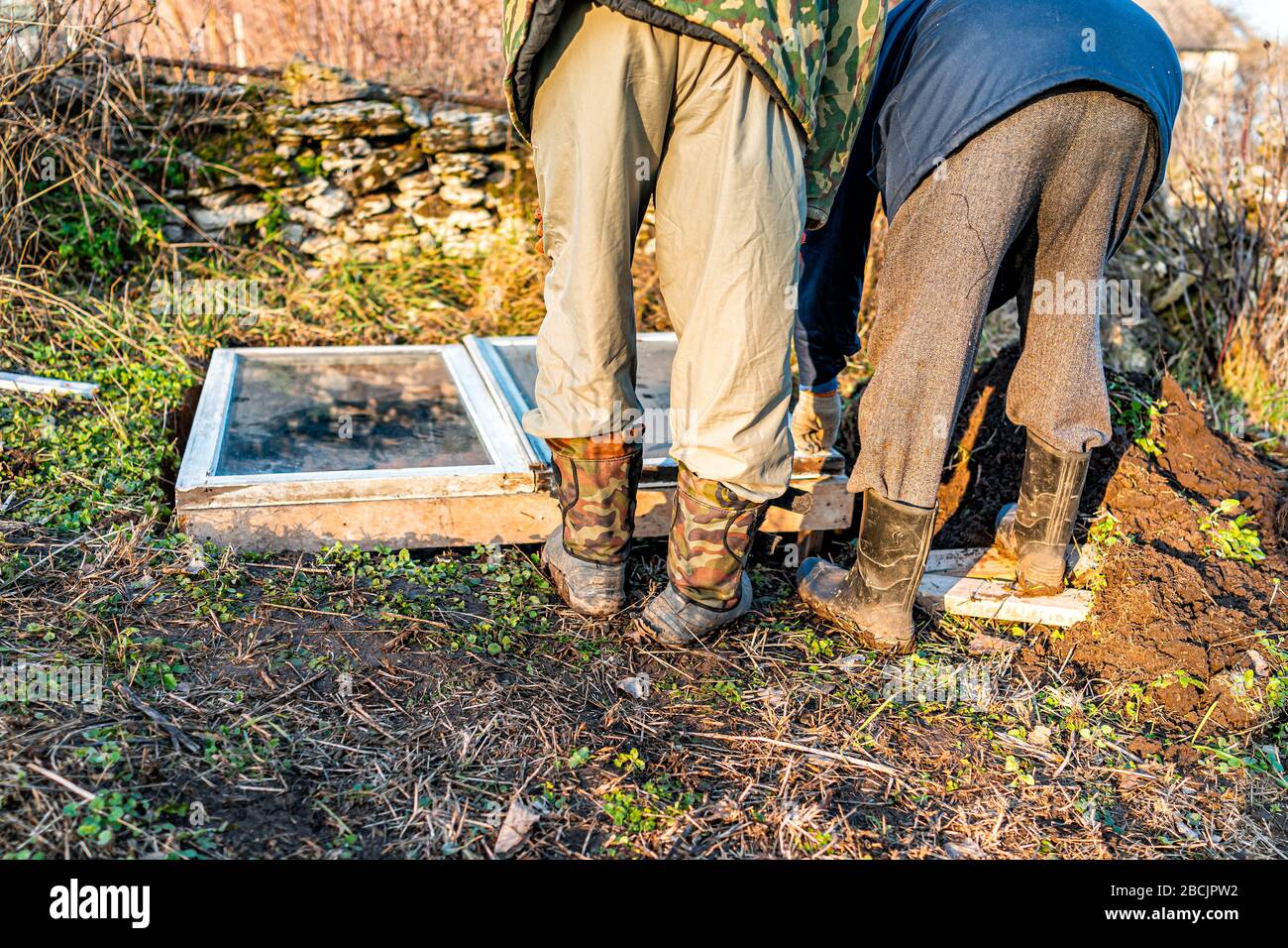 Deux personnes, père et fils, hommes travaillant sur le jardin d'hiver de légumes pour le cadre froid de lit surélevé en Ukraine datcha Banque D'Images