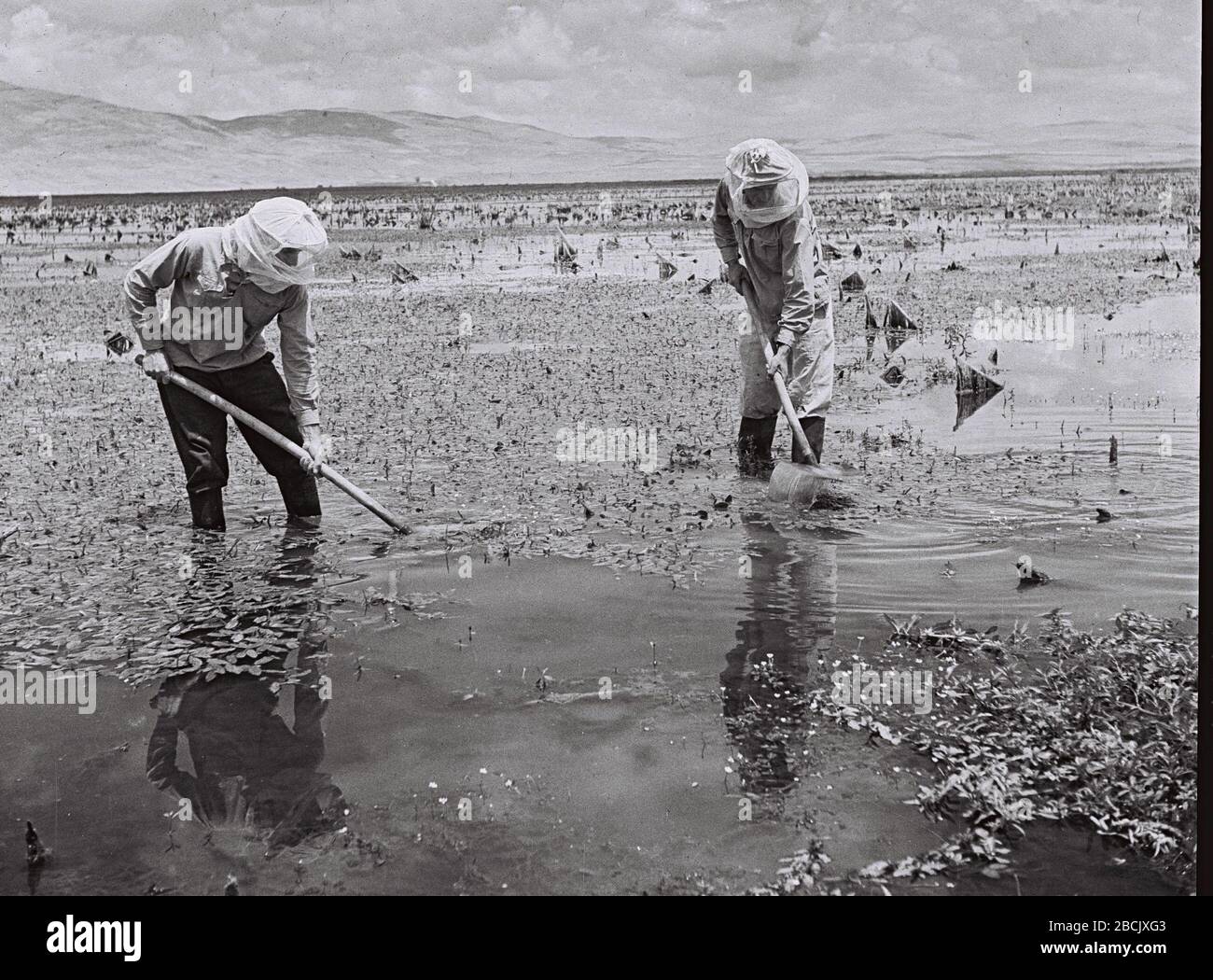 01 06 1940 Banque D Image Et Photos Alamy