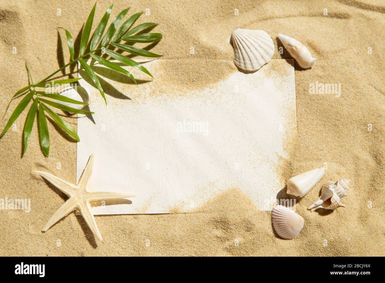 Note vierge avec coquillages et feuilles de palmier sur sable Banque D'Images