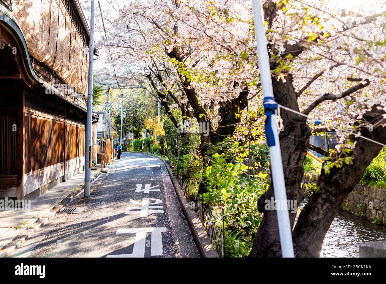 Kyoto, Japon quartier résidentiel paisible au printemps ensoleillé avec le canal de la rivière Takase en avril au Japon avec des cerisiers en fleurs et un panneau d'arrêt sur le ro Banque D'Images