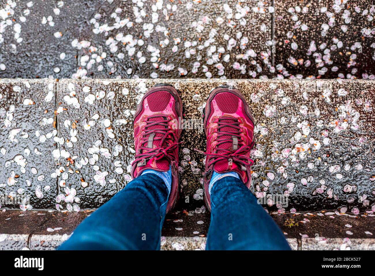 En regardant vers le bas point de vue sur les pieds des jambes dans un Jean avec des chaussures de sport au printemps avec beaucoup de pétales de fleurs de cerisier sakura sur des escaliers mouillés s Banque D'Images