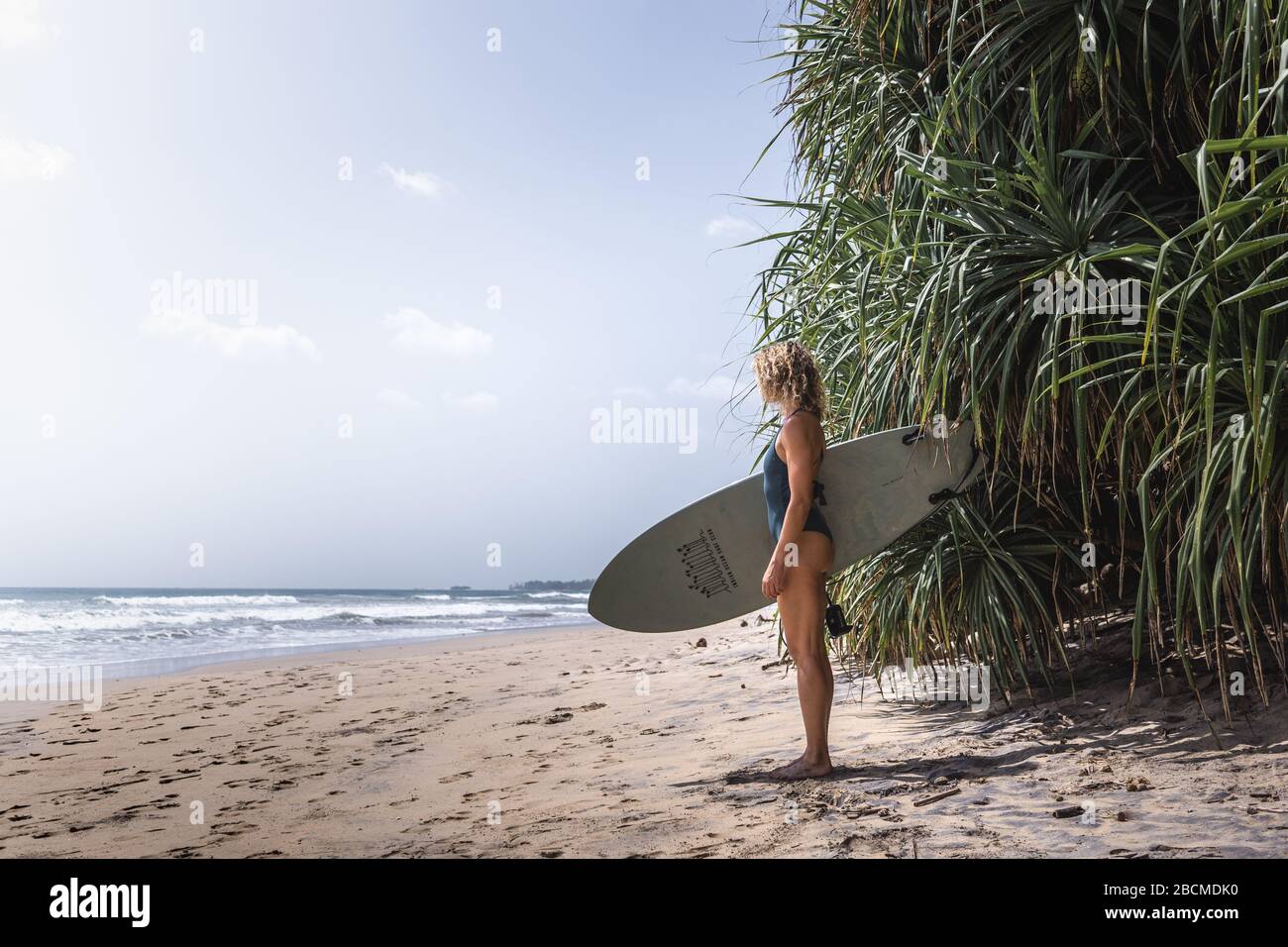 Blonde surfeuse fille portant un maillot de bain bleu avec son planche à poissons debout à côté de brousse tropicale regardant les vagues sur la plage, au sud du Sri lanka Banque D'Images
