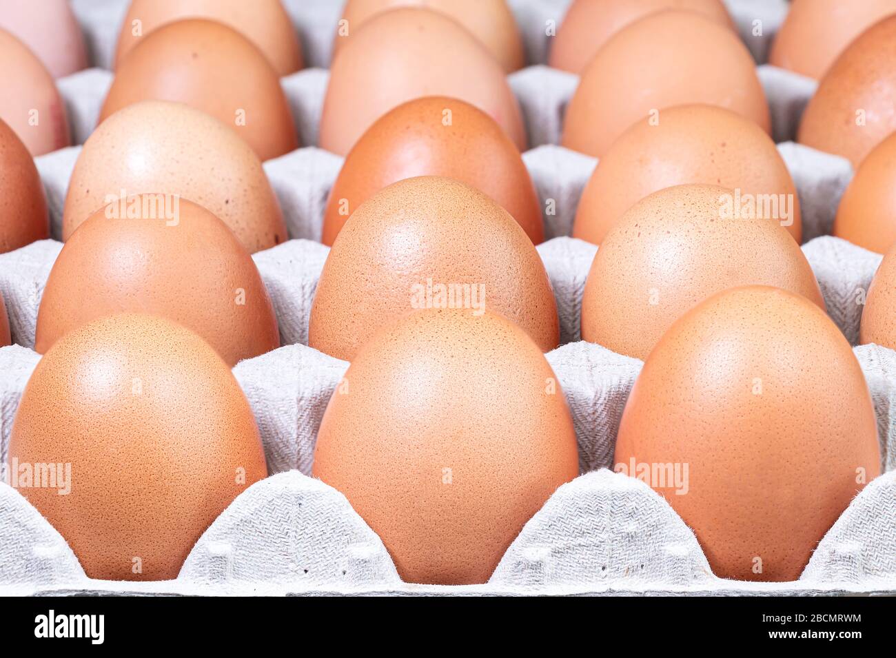 Œufs biologiques de la ferme dans une boîte à œufs est. Poulets œufs des zones écologiquement propres Banque D'Images