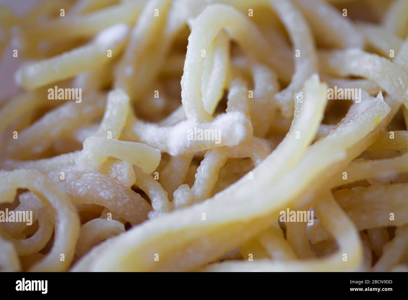 Spaghetti gâtés avec moisissure. Pâtes ou nouilles avec spores blanches de pénicillum. Les vieux plats se rapprochés de l'arrière-plan Banque D'Images