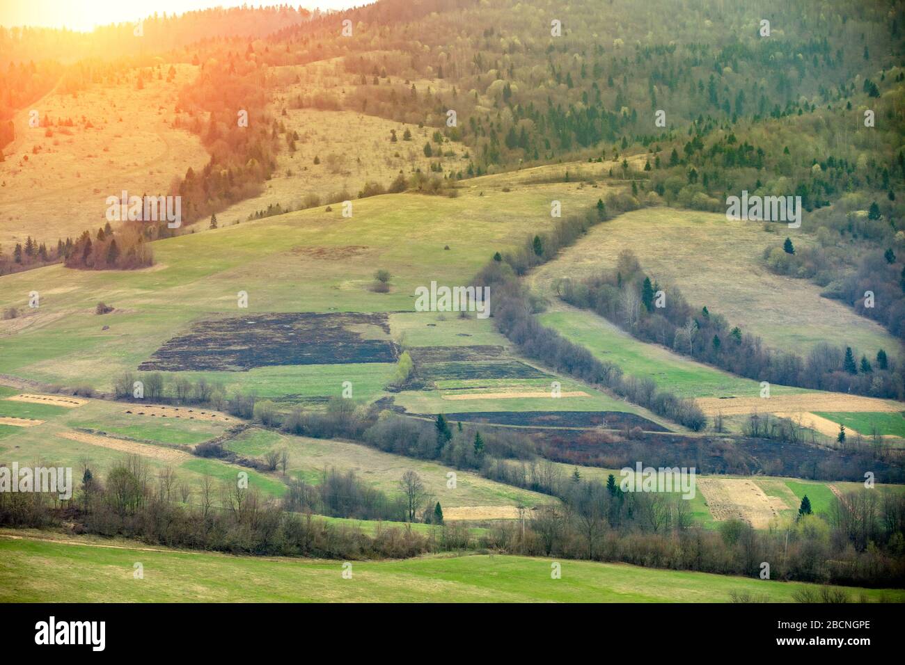 Vue sur les montagnes au début du printemps. Beau paysage naturel. Montagnes de Carpates. Ukraine Banque D'Images