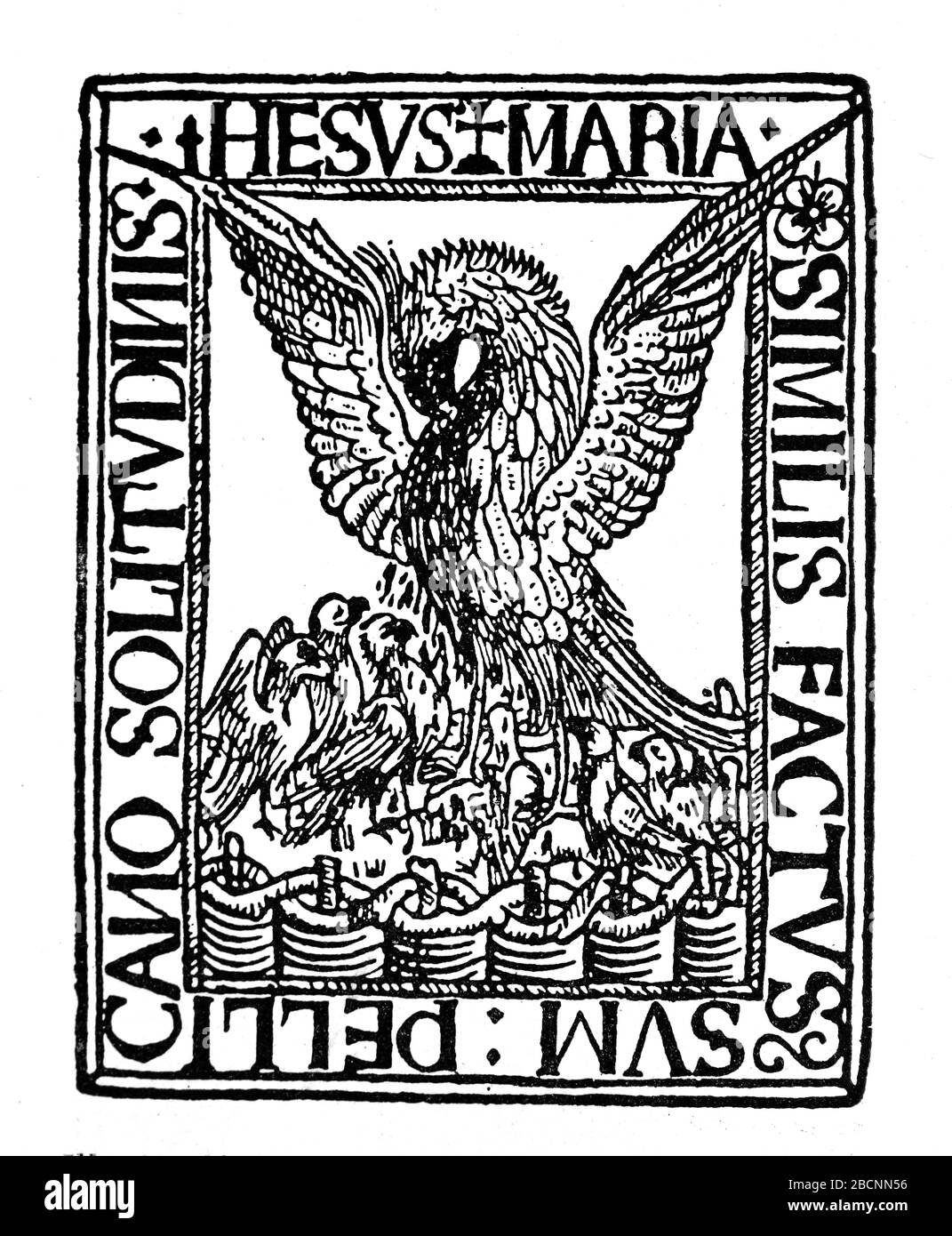 Tirant lo Blanch (Tirant le Blanc). Romance chevalrique écrite en catalan. Auteur: Joanot Martorell et Marti Joan de Galba. xve siècle. Couvercle d'un Banque D'Images Tirant lo Blanch (Tirant le Blanc). Romance chevalrique écrite en catalan. Auteur: Joanot Martorell et Marti Joan de Galba. xve siècle. Couvercle d'un Banque D'Images