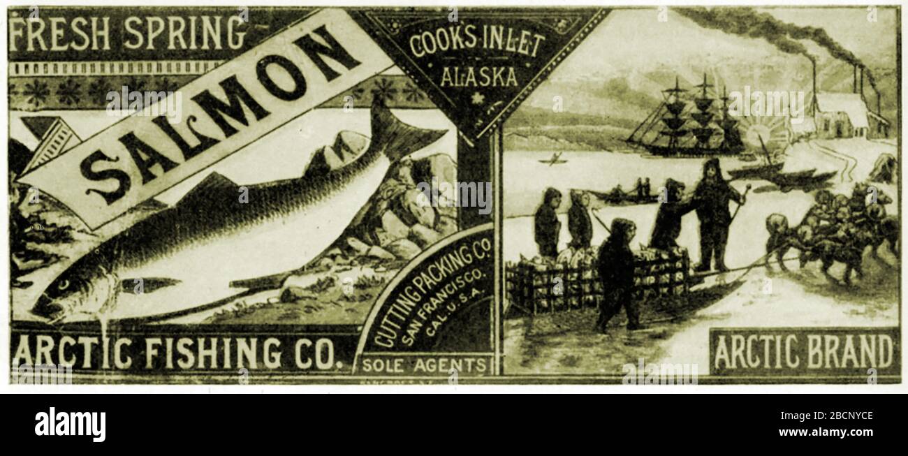 Une première marque arctique (Fishing Company) a une étiquette de saumon en conserve dont les seuls agents étaient la Cutting Packing Co. De San Francisco, Californie, États-Unis. La California Packing Corporation a été successeurs de la Cutting Packing Co (Francis Cutting) et a ensuite été reprise par Del Monte et CalPak. Banque D'Images
