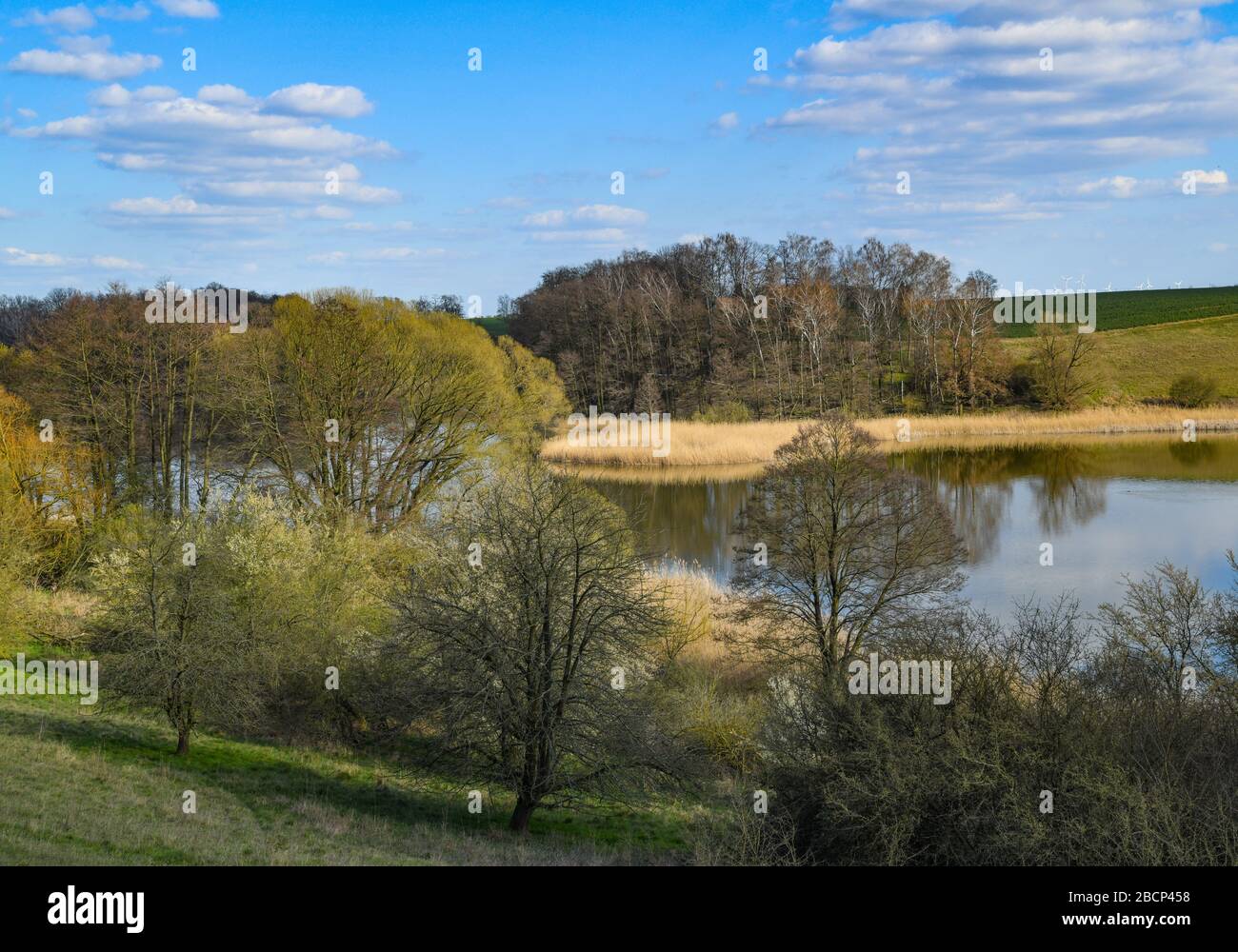 Lietzen, Allemagne. 04 avril 2020. Printemps dans le "Lietzener Mühlental". La réserve naturelle "Lietzener Mühlental" comprend une partie de la vallée de la Platkower Mühlenfließ. Il protège un canal d'eau de fonte en âge de glace creusé dans la plaque de moraine souterraine et les pentes de la vallée environnante. La végétation sous-marine présente dans le Mühlenfließ est protégée en vertu de la Directive européenne sur la flore-faune-habitat (FFH). Crédit: Patrick Pleul/dpa-Zentralbild/ZB/dpa/Alay Live News Banque D'Images