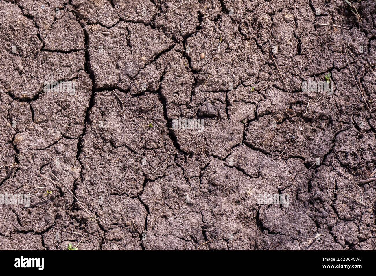 Sécheresse, fissures du sol et manque d'humidité. Terre avec fissures sans eau Banque D'Images