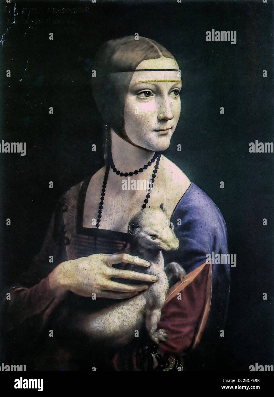 Pologne Cracovie Muzeum Narodowe - Leonardo Da Vinci - Dame avec Ermine (Cecilia Galerani) - 1484 Banque D'Images