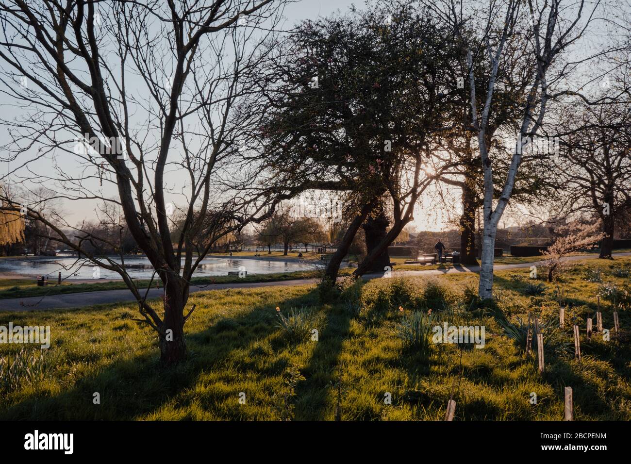 Londres, Royaume-Uni - 22 mars 2020: Vue sur le parc Broomfield, parc public à Palmers Green dans le quartier d'Enfield de Londres, pendant l'heure d'or. Banque D'Images