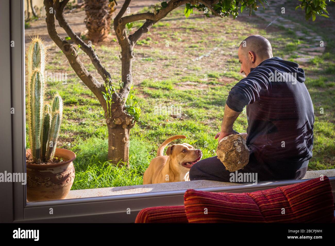 Homme jouant avec son chien dans le jardin de maison Banque D'Images