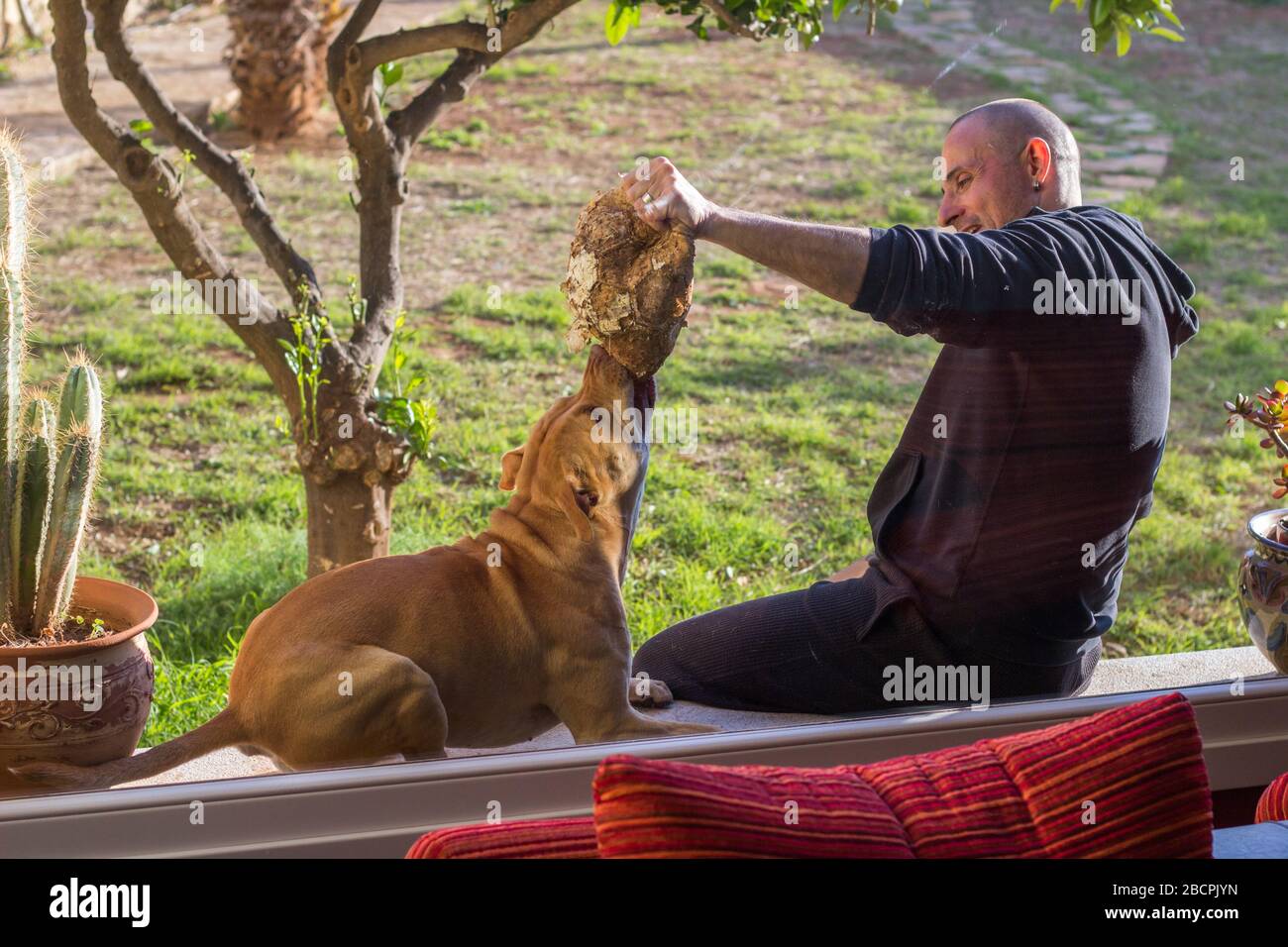 Homme jouant avec son chien dans le jardin de maison Banque D'Images