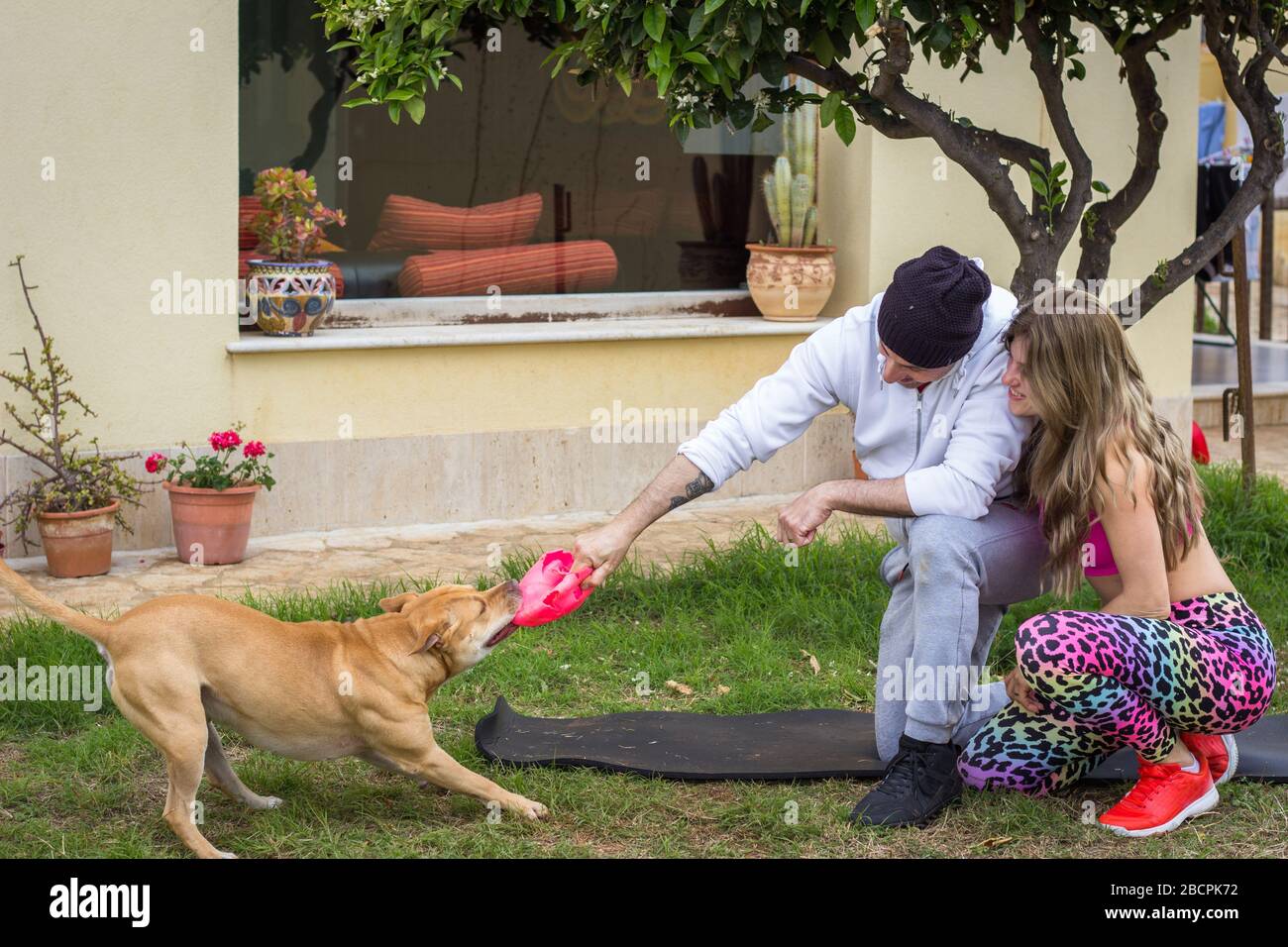 Couple jouant avec le chien dans la cour de la maison Banque D'Images