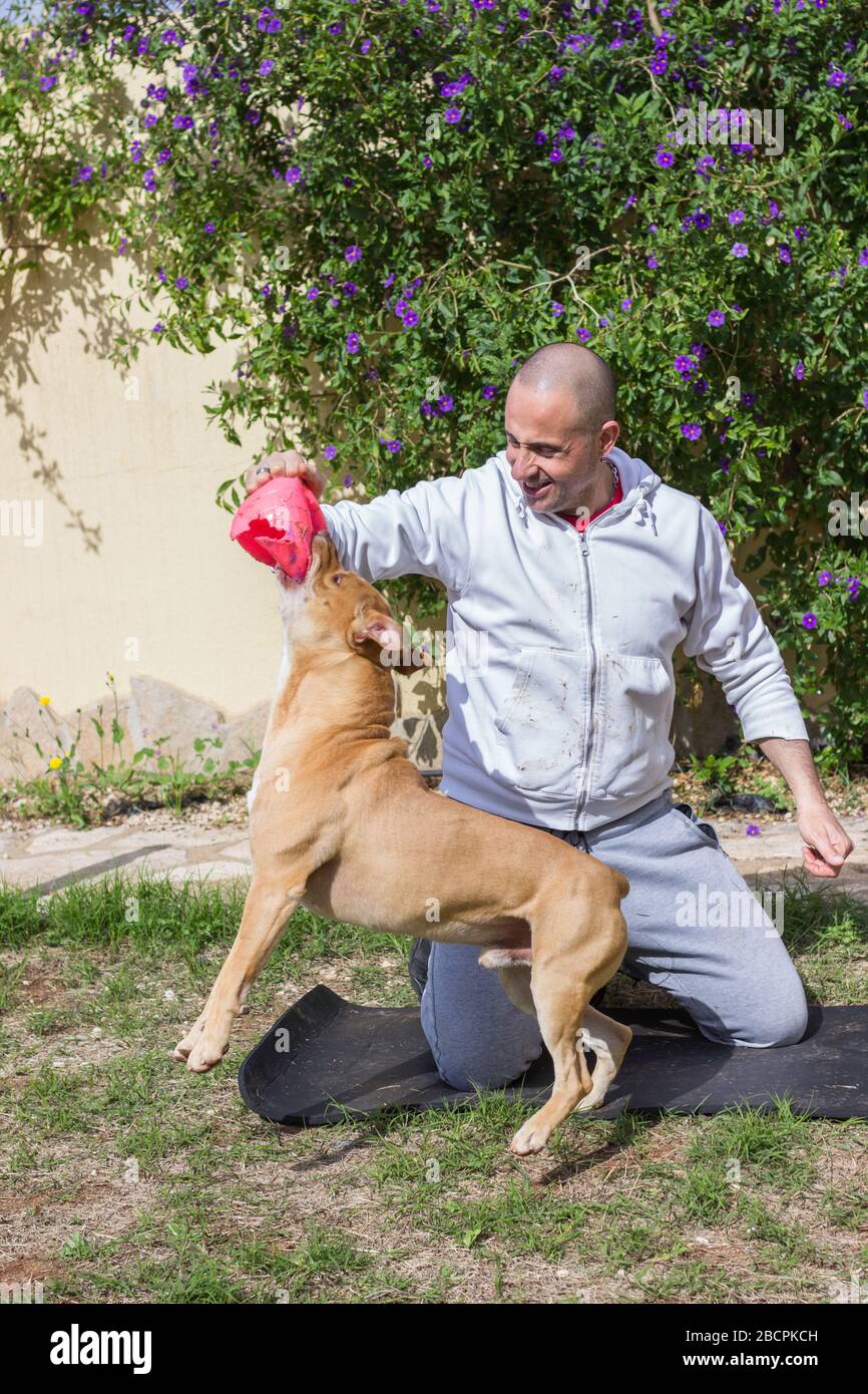 Homme jouant avec le chien dehors dans le jardin Banque D'Images