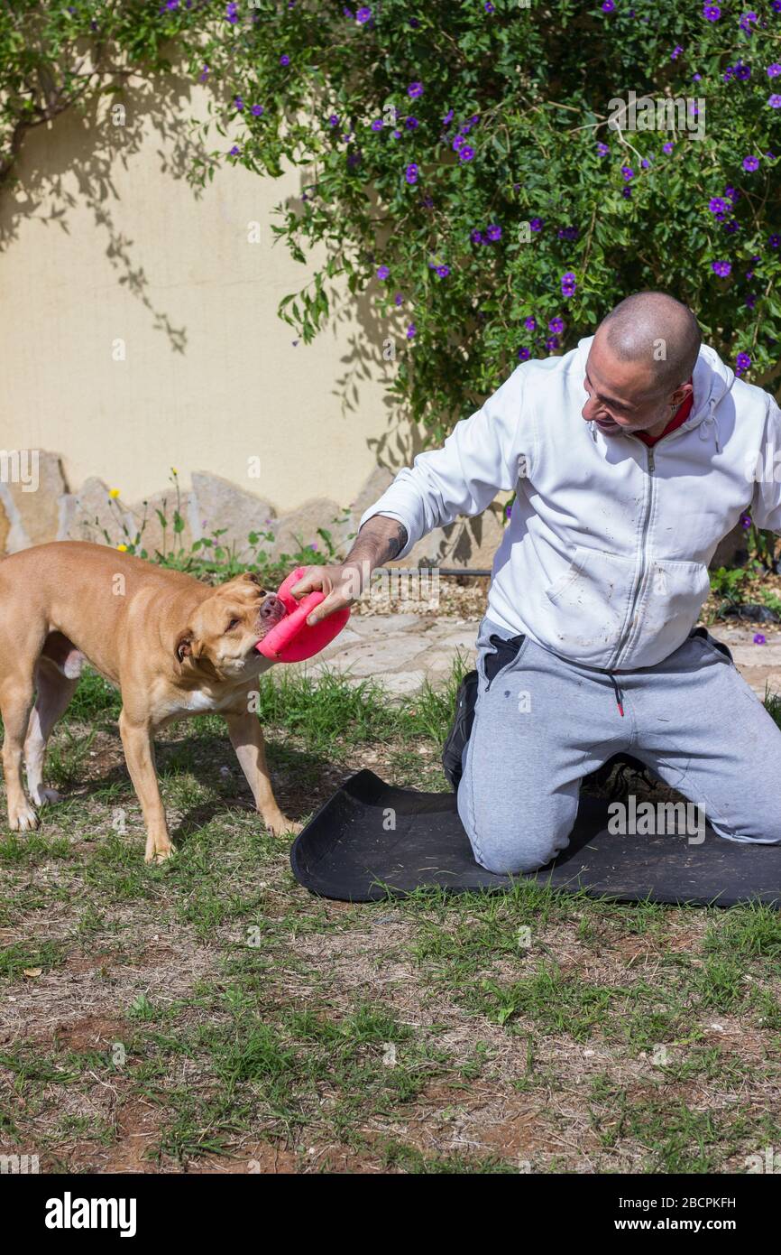 Homme jouant avec le chien dehors dans le jardin Banque D'Images