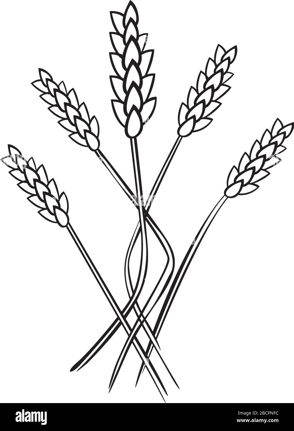 oreilles de seigle Illustration de Vecteur