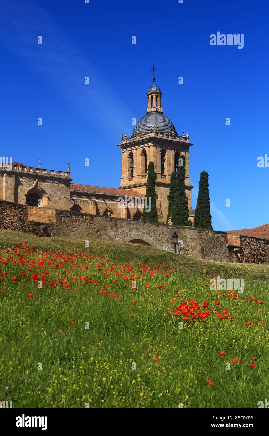 Ciudad Rodrigo, Salamanca District, Estrémadure, Espagne. La cathédrale de style baroque et romantique. Vue de l'extérieur des murs de la ville. Banque D'Images